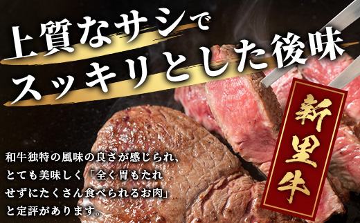 石垣島産 黒毛和牛 新里牛 ランプステーキ  (200g×2) 合計400g SZ-10