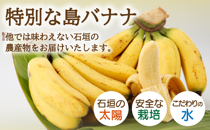 åžå°ïŒç¹èš±è£œæ³ã§äœãã·ãªã«æ°Žã§æ œå¹ããç¹å¥ãªãå³¶ããããããµãããšçŽçš æ²çžçç³å£åž æ²çž ç³å£åž ç³å£å³¶ åžå° ç¡èŸ²è¬ ããã ã°ãªãª é¢å³¶ã®ãããã® æ²çžãããã®ç³å£å³¶ ãOI-6