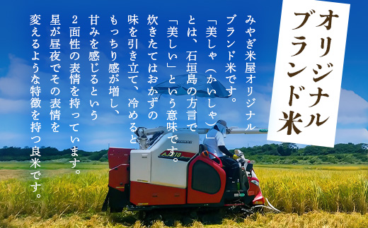 【令和6年産新米！】石垣島産 星の美(かい)しゃ 5kg みやぎ米屋【 日本一早い新米の産地 お米 産地直送 旬 ほしじるし 沖縄県 石垣市 送料無料 】MK-3