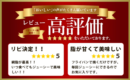 石垣島産 やえやまファームのアグー豚(南ぬ豚) 網脂ハンバーグ食べ比べセット(3種×各2個) E-26