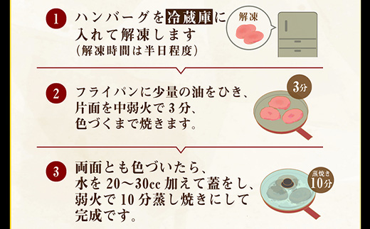 E-8-1 石垣島産アグ―豚（南ぬ豚）ハンバーグ10個セット