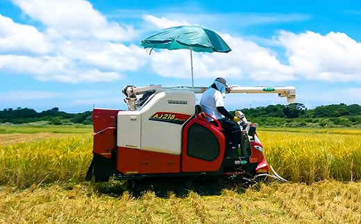 【令和6年産新米！】日本一早い新米 石垣島産 星の美(かい)しゃ 10kg みやぎ米屋【 新米 お米 産地直送 旬 ほしじるし 沖縄県 石垣市 送料無料 】MK-4