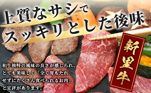 石垣島産 黒毛和牛 新里牛 赤身系焼き肉用 (300g×2) 合計600g（ウデ・ウチモモ・トウガラシから2つ）SZ-21