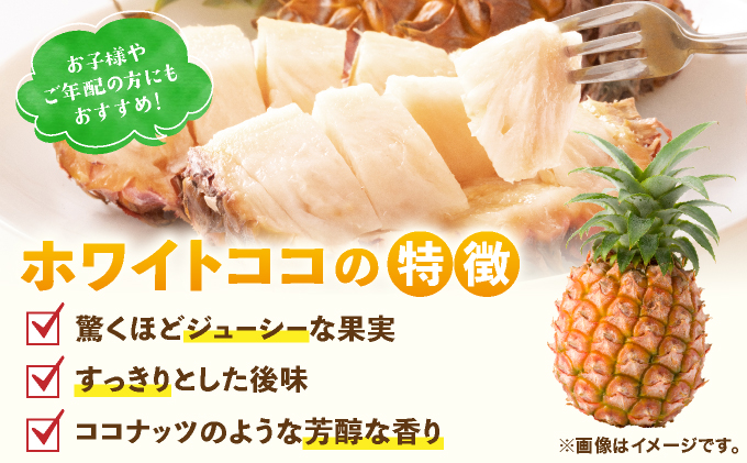 ≪6月上旬順次発送≫ 石垣島産パイナップル　ホワイトココ　3玉（約3kg）