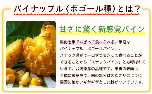 ãäºçŽåä»ãç³å£å³¶ç£ãææ©ãã€ãããã«ã»ããŽãŒã«çš® 3çïŒçŽ2.8kgååŸïŒãåžžæž©ããïŒæäžæ¬ïœé 次çºéäºå®ãïœãã€ãããã« ãã€ã³ã¢ããã« ç³å£å³¶ãã€ã³ ãã«ãŒã æç© ãã ãã® ååœãã«ãŒã åœç£ãã€ã³ãE-41