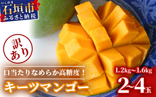 予約受付【訳あり】沖縄県石垣島産 キーツマンゴー 1.2kg～1.6kg【2～4玉】【口当たりがなめらかな 高糖度マンゴー】2025年発送分