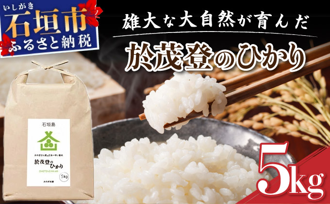 石垣島産 於茂登(おもと)のひかり 5kg みやぎ米屋【 日本一早い新米の産地 お米 産地直送 旬 しきゆたか 沖縄県 石垣市 送料無料 】MK-1