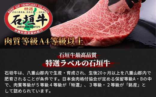 【全3回 定期便A】 石垣牛特選　焼肉・サーロインステーキ・すきしゃぶ　計2.2kg （いしなぎ屋）【 特選肉 肉 高級 黒毛和牛 和牛 牛 】AB-29