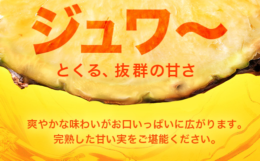 【予約受付】パールパイン1ｋｇ（1～2玉）お勧め♪川平パイン《2025年7月～8月頃順次発送》KN-2