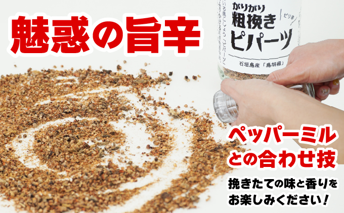 繧ャ繝ェ繧ャ繝ェ邊玲舷縺阪ヴ繝代シ繝 遏ウ蝙」蟲カ逕」縲悟ウカ閭。讀偵阪壹ャ繝代シ繝溘Νシ1譛ャシ会シ玖ゥー譖ソシ1陲具シ迂N-01