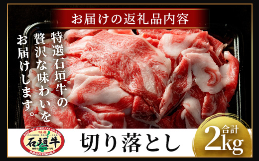 石垣牛・切り落とし 2kg（１kg×２）冷凍便【 沖縄県 石垣市 牛肉 お肉 切落し 小間切れ 牛小間切れ 】 SI-89