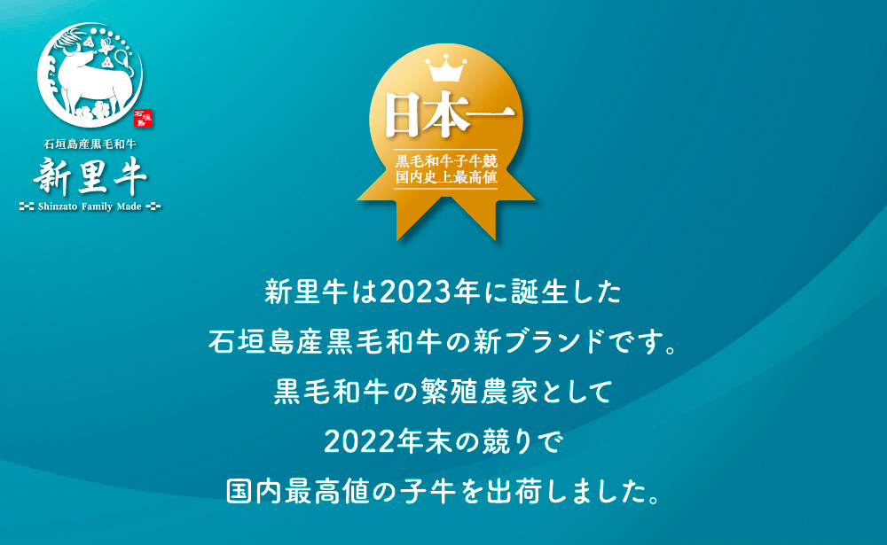 石垣島産 黒毛和牛 新里牛 あっさり赤身ローストビーフ用ブロック（希少！カメノコ）（500g×1）500g ローストビーフ ステーキ 焼肉 SZ-39