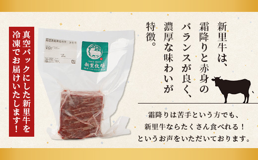 石垣島産 黒毛和牛 新里牛 濃厚赤身ローストビーフ用（ソトモモ）（200g～300g×2個）合計500g以上 SZ-11