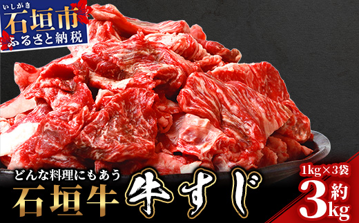 石垣牛・牛すじ ３kg （1kg×3） 冷凍便【 沖縄県 石垣市 牛肉 お肉 牛スジ 牛筋 煮込み おでん カレー 】 SI-86