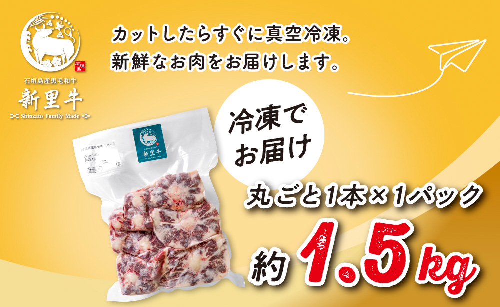 石垣島産 黒毛和牛 新里牛 極希少！ テールカット1本 約1.5kg SZ-43