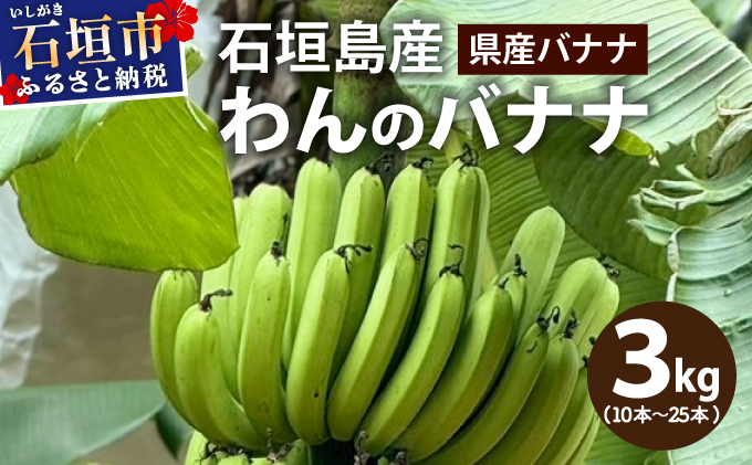 ＜わんのバナナ＞石垣島産バナナ【沖縄県産バナナ】約3kg NA-06