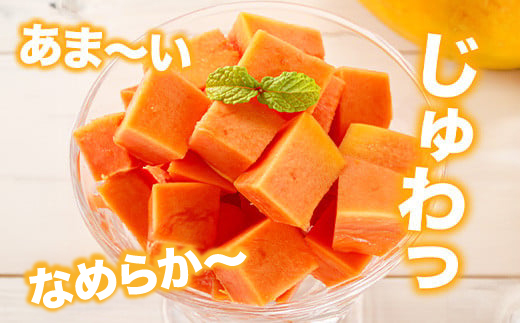 フルーツパパイヤ4kg 【 パパイヤ フルーツパパイヤ 果物 くだもの フルーツ 果実 国産 沖縄県 沖縄 石垣 石垣島 石垣市 】ZH-14