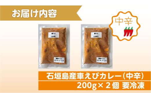 石垣島産車えびカレー（中辛）【冷凍 2食】石垣島のカレー専門店が作るご当地カレー　SK-12