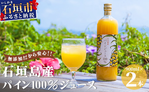 石垣島産パイン100％ジュース E-1-1