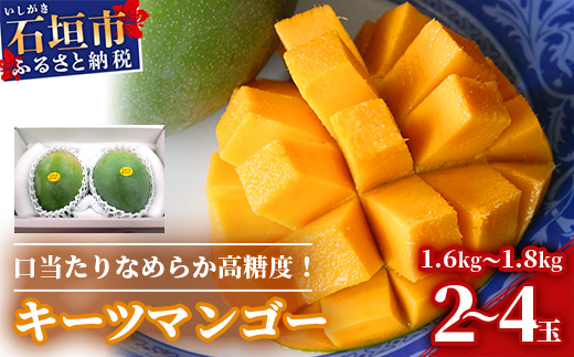 【予約受付】沖縄県石垣島産 キーツマンゴー 1.6kg～1.8kg【2～4玉】【口当たりがなめらかな 高糖度マンゴー】2025年発送分