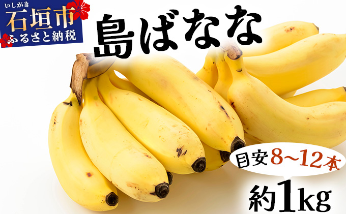 バナナ好きに届けたい！！完全無農薬栽培 もっちり食感がやみつきの希少な国産『プレミアム島ばなな』贅沢に1房丸ごと約1kgお届け！！