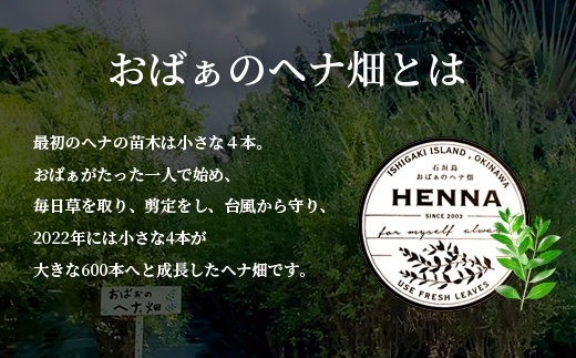 「石垣島産　ヘナパウダー1袋(100g) ＆ ヘナ石鹸1個(50g)セット」 NE-1