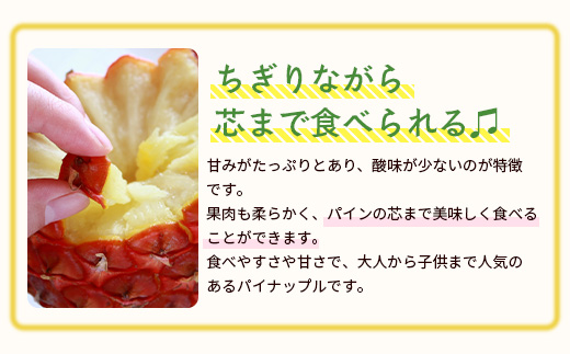 ãäºçŽåä»ãç³å£å³¶ç£ãææ©ãã€ãããã«ã»ããŽãŒã«çš® 3çïŒçŽ2.8kgååŸïŒãåžžæž©ããïŒæäžæ¬ïœé 次çºéäºå®ãïœãã€ãããã« ãã€ã³ã¢ããã« ç³å£å³¶ãã€ã³ ãã«ãŒã æç© ãã ãã® ååœãã«ãŒã åœç£ãã€ã³ãE-41