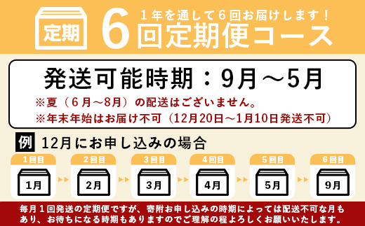 石垣島産 野菜BOX【６回定期便】（６~８種類）季節ごとに野菜パワーをあなたに！！CK-3 【野菜セット おまかせセット 旬 季節のお野菜 旬の野菜セット 詰め合わせ 定期便 ６回 定番野菜 島野菜 沖縄県 石垣市 石垣島 石垣 】