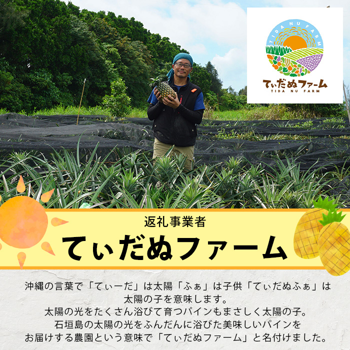 《2025年7月上旬頃より順次発送》【予約受付】石垣島産 ハワイ種パイン 2～3個セット 約3㎏【 産地直送 石垣島産 石垣 完熟 パイン パイナップル 】TD-6