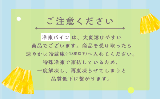 石垣島産パイナップル６回定期便 ｜ 青果３回 冷凍３回 沖縄県 石垣市 果物 果物 南国フルーツ パイン 送料無料 KP-8-1