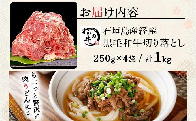 ＜わんの牛＞石垣島産経産黒毛和牛 切り落とし 250g×4袋 合計1kg NA-02