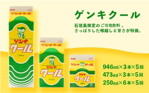 【ふるさと納税限定】【定期便_5回】八重山ゲンキ乳業 全種バリューセット【八重山ゲンキ乳業】【ゲンキ牛乳】【石垣島のソウルドリンク ゲンキクール】【ゲンキカフェ】【さんぴん茶ミルクティー】GN-004-t05