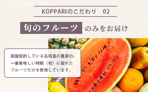 石垣島産まるごと冷凍マンゴー　2～5個 約1kg  EF-7