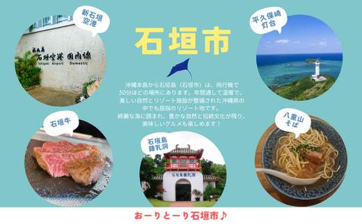 石垣市に泊まるふるさと納税旅行クーポン【9,000円分】｜沖縄県 石垣市 石垣島 八重山 旅行 クーポン 旅行クーポン 電子クーポン 日本空輸 NK-3