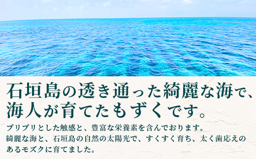 石垣島産 海人の味付け海雲(もずく) 3kg (250g×12) KS-2