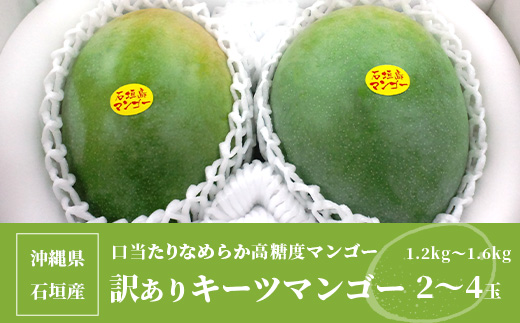 予約受付【訳あり】沖縄県石垣島産 キーツマンゴー 1.2kg～1.6kg【2～4玉】【口当たりがなめらかな 高糖度マンゴー】2025年発送分