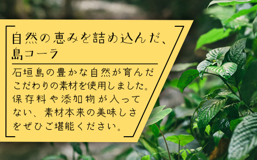 島コーラ BIGサイズ【沖縄県 石垣島 コーラ クラフトコーラ ハーブ ウコン スパイス】CS-3