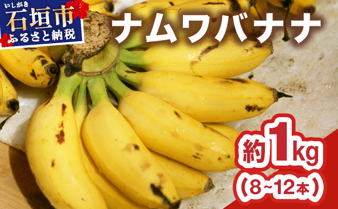 ≪2026年4～10月順次発送≫ 石垣島産 希少な国産『ナムワバナナ』を贅沢に1房丸ごと約1kg（8-12本） | 沖縄 石垣 バナナ フルーツ 果物 南国フルーツ 国産