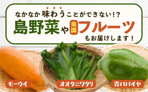 沖縄県 石垣島の野菜・フルーツBOX 1箱 ≪野菜4～5種類、フルーツ1~2種類≫ じょーとーまーさん(とても美味しい) 石垣島の野菜とフルーツの詰め合わせセットをお楽しみください！！CK-4｜沖縄 石垣島 直送 旬 果物 フルーツ 新鮮 島野菜 野菜セット 詰め合わせ CK-4