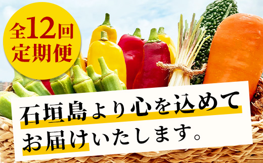 【定期便 12ヶ月】料理人が厳選した島野菜盛り合わせ  (6～10品目×12回)  【野菜詰合せセット  やさい セット 詰め合わせ 冷蔵対応】 TM-8