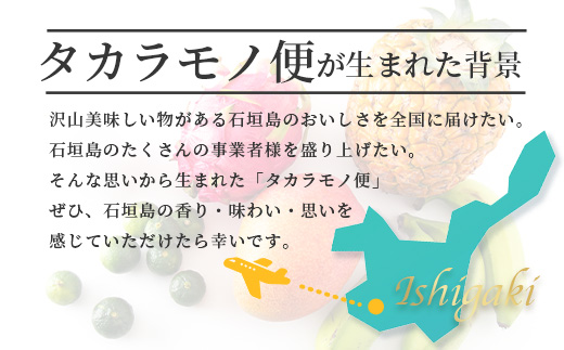 《2025年7月中旬～9月上旬順次発送予定》石垣島の夏「果物」詰め合わせ～夏のタカラモノ果物便～【 産地直送 沖縄 石垣 石垣島 くだもの トロピカルフルーツ 果物 南国 フルーツ 詰め合わせ フルーツ便 】SH-5