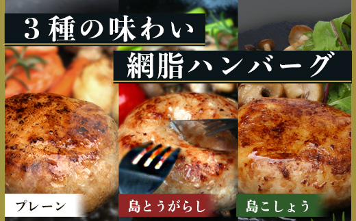 石垣島産 やえやまファームのアグー豚(南ぬ豚) 網脂ハンバーグ食べ比べセット(3種×各2個) E-26