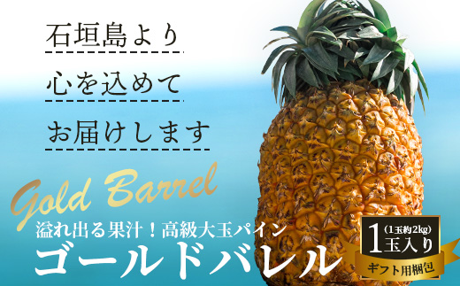 【先行予約】石垣島産 ゴールドバレル１玉 約2.0kg ギフト用梱包《2025年夏季 順次発送》【 ギフト 贈り物 産地直送 沖縄 石垣 フルーツ パイナップル パイン ゴールドバレルパイン 】SI-127