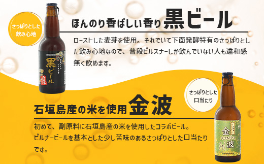 【冷蔵】石垣島ビールおつまみセット小 V-24