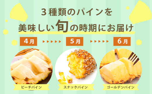 【予約受付】【定期便】石垣島産 パイナップル 3回 定期 3種 計6玉【2025年 4～5月頃・5月・6月頃お届け】  KP-18