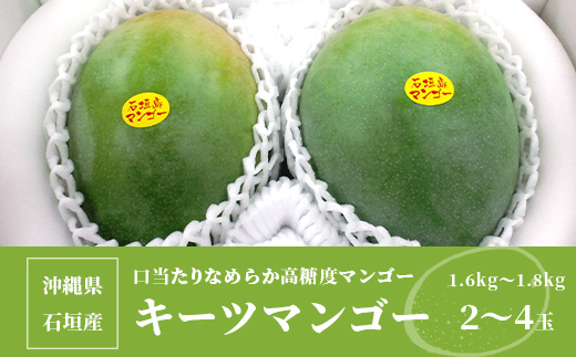 【予約受付】沖縄県石垣島産 キーツマンゴー 1.6kg～1.8kg【2～4玉】【口当たりがなめらかな 高糖度マンゴー】2025年発送分