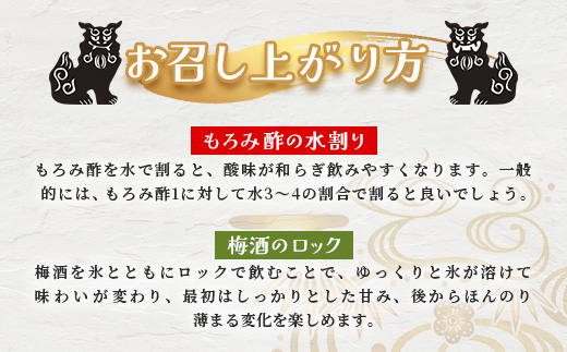 手造り於茂登の“琉球もろみ酢”＆おもと梅酒セット【 沖縄 石垣島 泡盛 もろみ 梅 酢 】TS-4