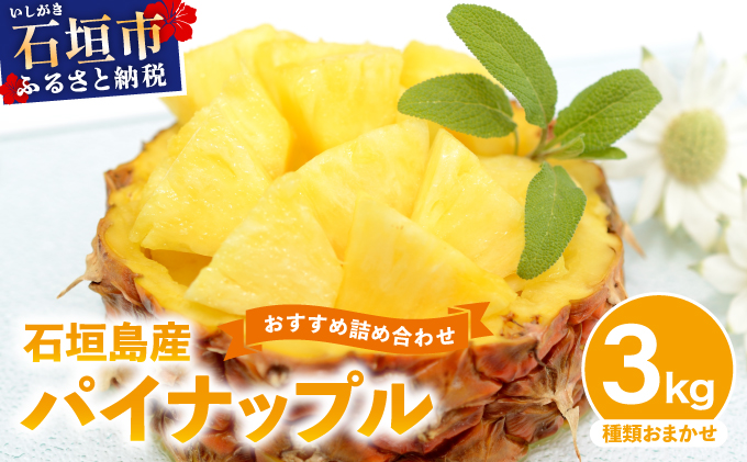 【2026年4月下旬から順次発送】石垣島産パイナップル 2～6個 約3kg　KP-14