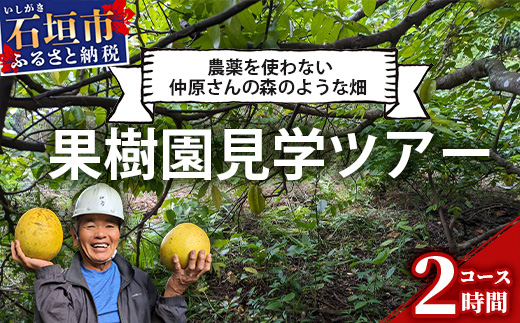 10月〜3月は1番人気の文旦も食べ放題＆お土産付！＜1回1組限定プライベート体験ツアー！＞農薬を使わない、仲原さんの「森のような畑」【 沖縄 石垣島 畑 果樹園 見学 体験 ツアー 食育 野菜 果物 沖縄のいいもの石垣島 】OI-21-1