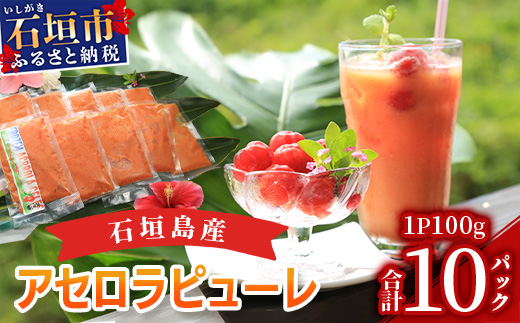 石垣島産アセロラピューレ 10パック CH-2-1